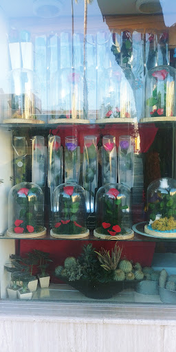 Floristería May