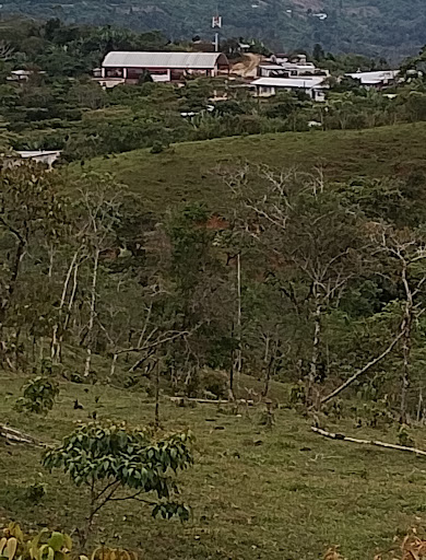 Chilon - Visual