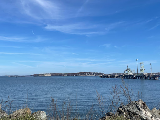 Bug Light Park - Visual