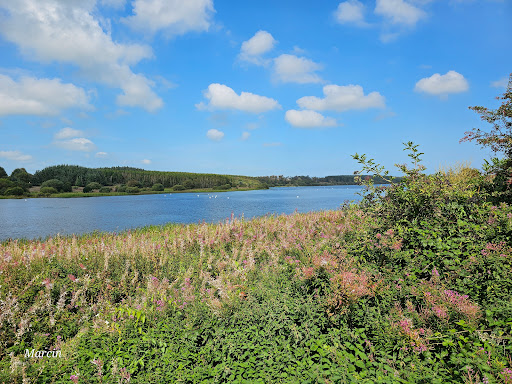 Maes Parcio Llyn Cefni - Thumbnail