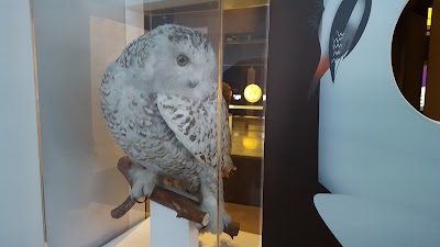 Photos of J&auml;&auml;aja Keskuse kohvik