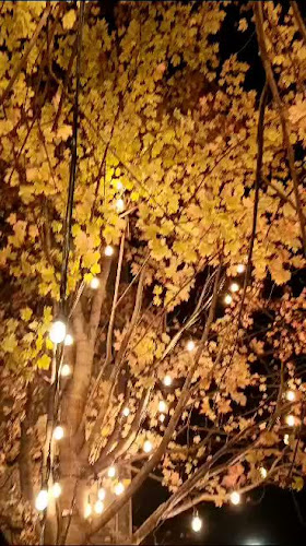 Reviews of Clerkenwell & Social in London - Pub