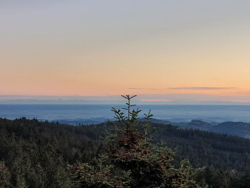 "Waldturm" Erlebnisturm - Thumbnail