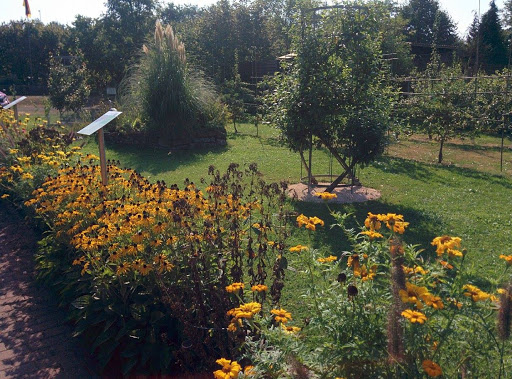 Obst- und Gartenbauverein Rimschweiler e.V. - Thumbnail
