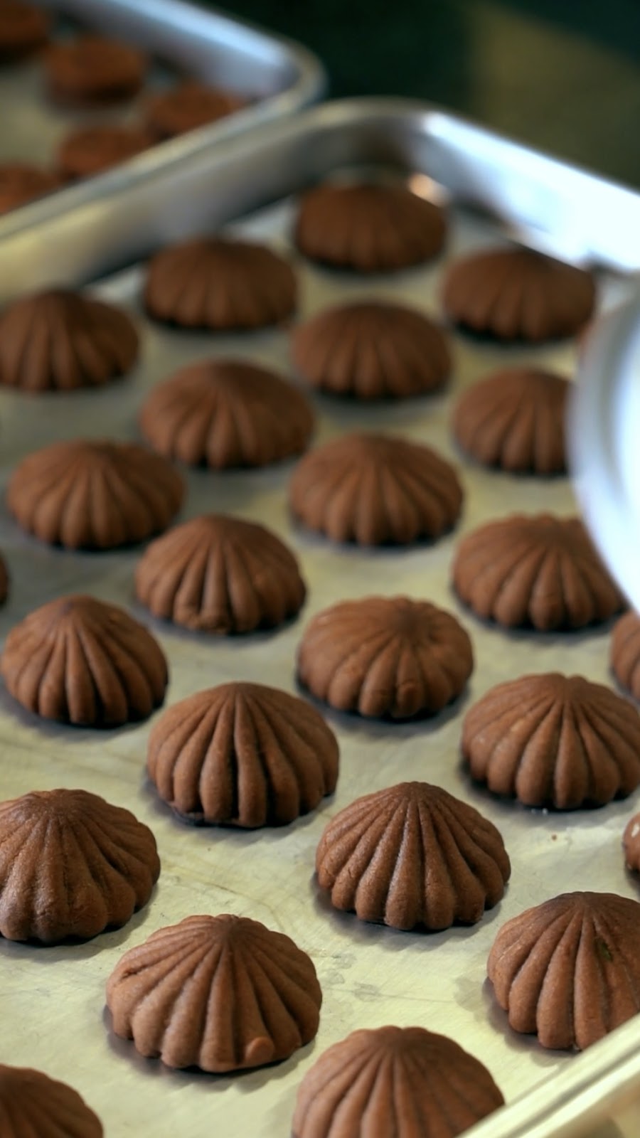 لولا LOLA - صورة 3