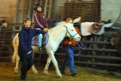 Photos of GallopNYC