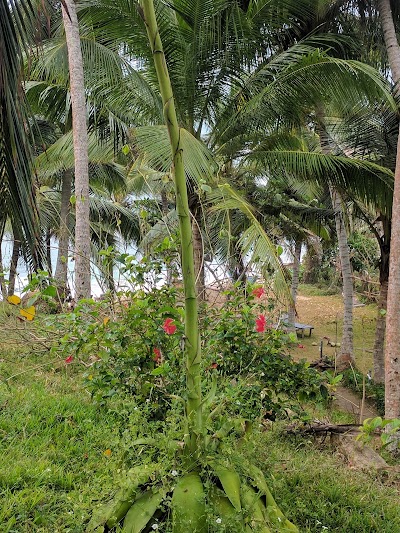 photo of Rocky Point Beach Bungalow