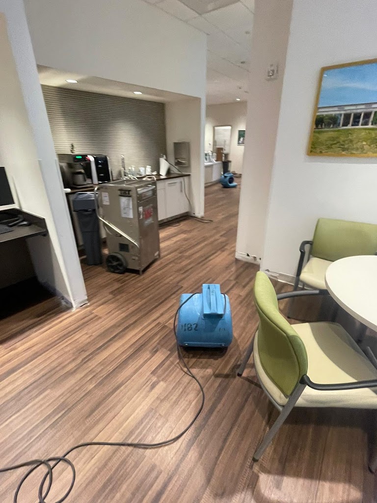 Flood Cleaning Company Queens photo