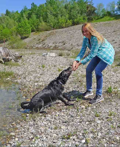 Hundebetreuung Lebensfreude pur