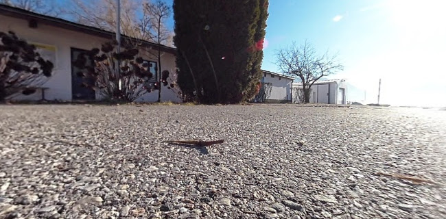 TCS Camping Lugano-Muzzano - Campingplatz