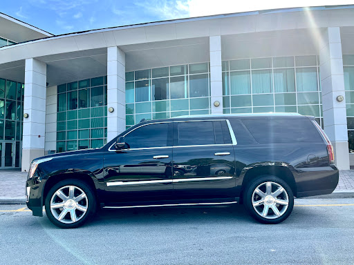 M Executive - Visual