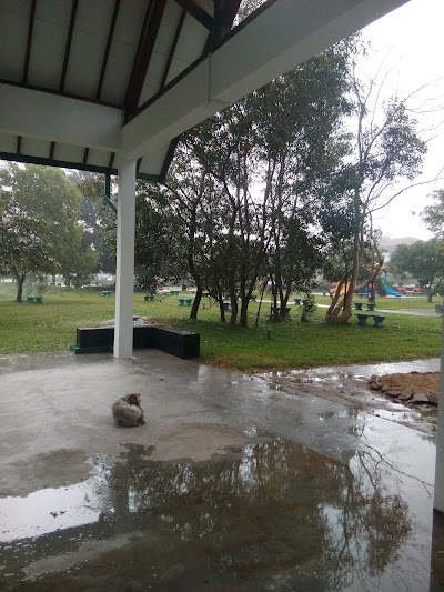university