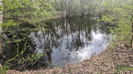 Surae Wandelroute - Thumbnail