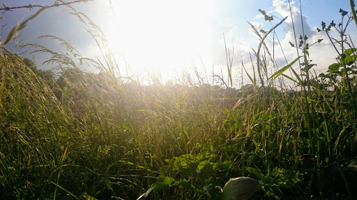 L-Moor, Shepreth - Thumbnail