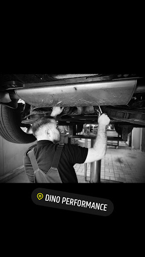 Dino Performance - Visual