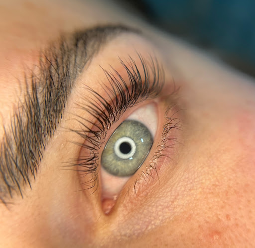 Le Brow Beauty