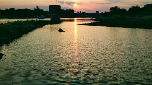 Psychoterapia. Seksuolog. Piotr Stasialovich.