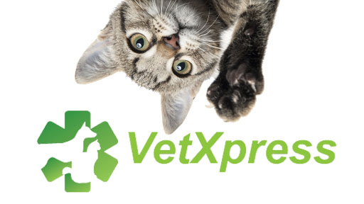 VetXpress Panamá