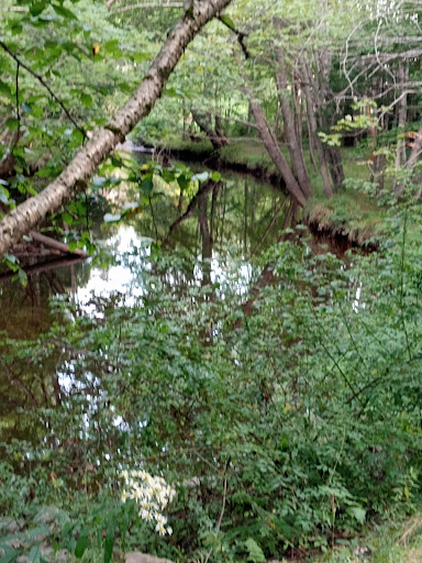 Little Sackville River - Thumbnail