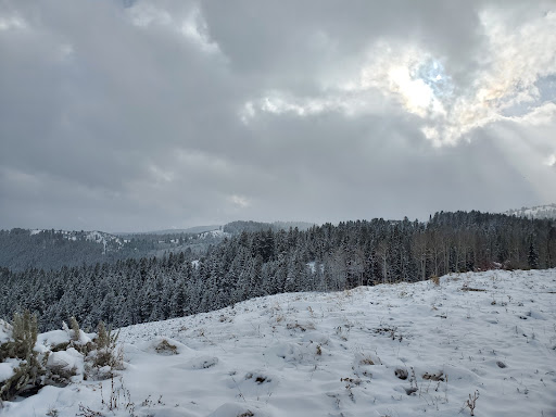 Cache National Forest - Visual
