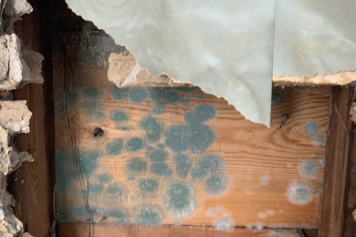 Self-service laundry at Clean-N-Dry Laundry Services, Butte, MT