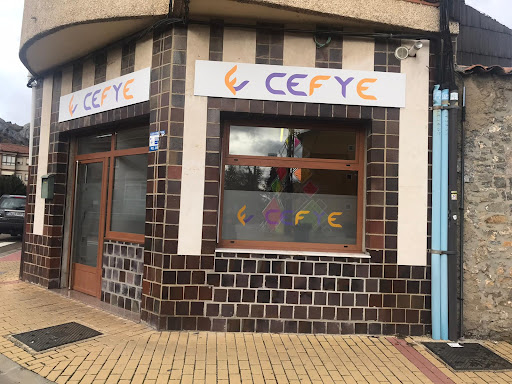 CEFYE-CISTIERNA. Centro Empresarial de Formación y Empleo - Thumbnail