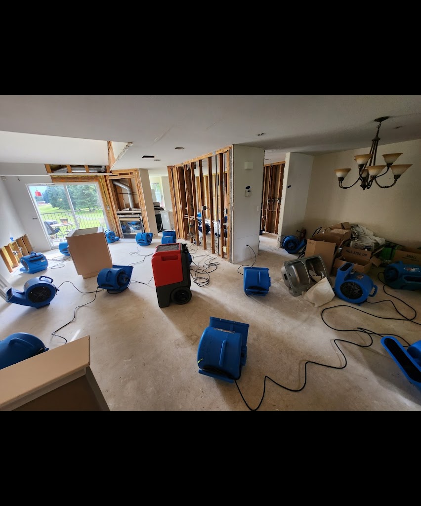 Seatown Restoration LLC photo