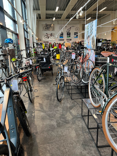 Free Bike Shop Sønderborg - Thumbnail