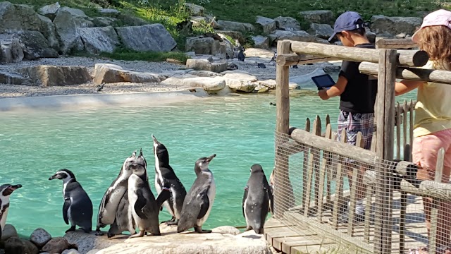 Branféré : parc animalier et botanique - Parcabout® - École Nicolas Hulot