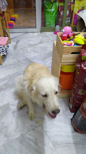 Beldibi Petshop
