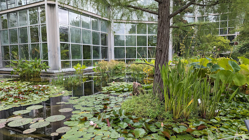 Liegewiese Grüneburgpark - Thumbnail