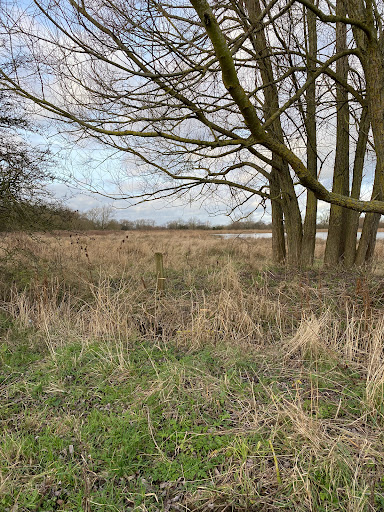 Tern Pool - Visual