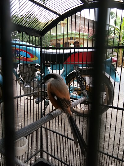 Photos of KAFE DARTO