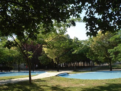 university