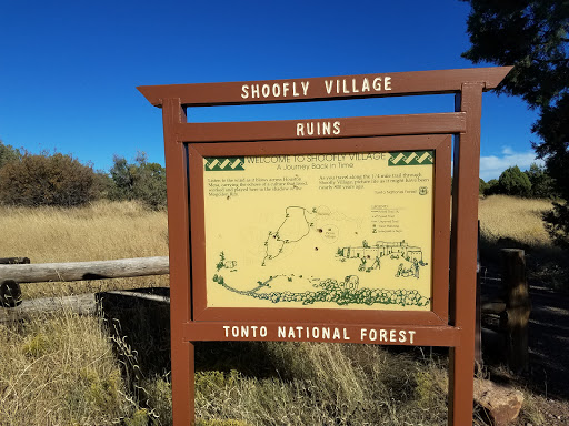 Shoofly Indian Ruins - Thumbnail