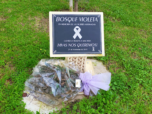 Bosque Violeta - Thumbnail