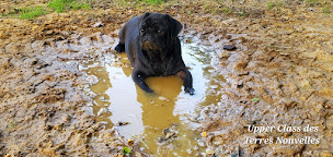 Photo n°12 de des terres nouvelles à Charbuy (Éleveur)