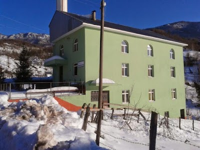 Photos of Bizimtarz