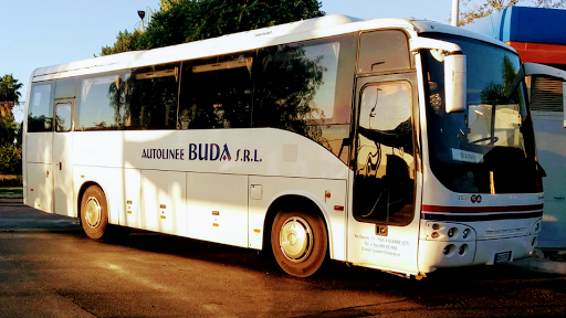 Autolinee Buda - Visual