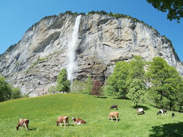 Staubbach Waterfall