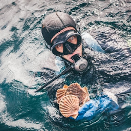 Photo n°7 de Pêcheries Le Levier à Perros-Guirec (Site de pêche)