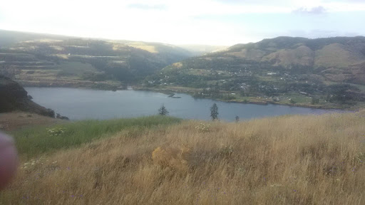 Mosier Community - Visual
