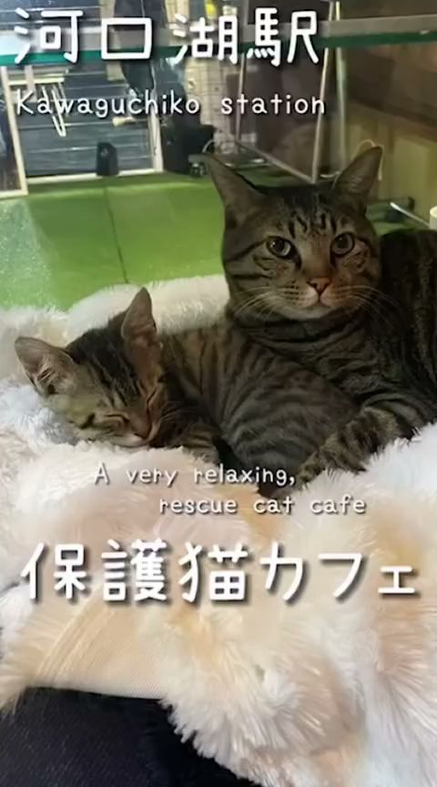 郷土料理体験教室 富士家 河口湖店