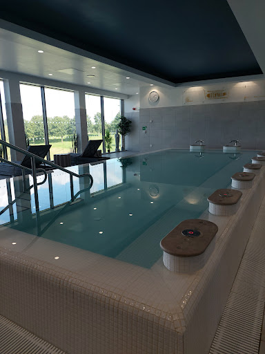 Bells nirvana at south lake