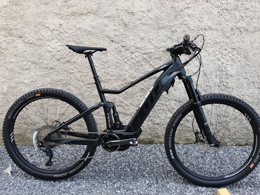 Delhaye Bike Assist Gallery - France