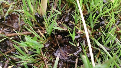 Photos of L&auml;hte vaatetorn