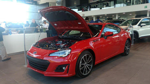 Subaru Metepec - Thumbnail