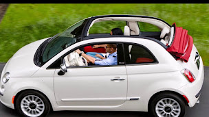 Photo n°7 de BPM Cars - Fiat, Jeep, Alfa Romeo, Abarth Montargis à Amilly (Concessionnaire Jeep)