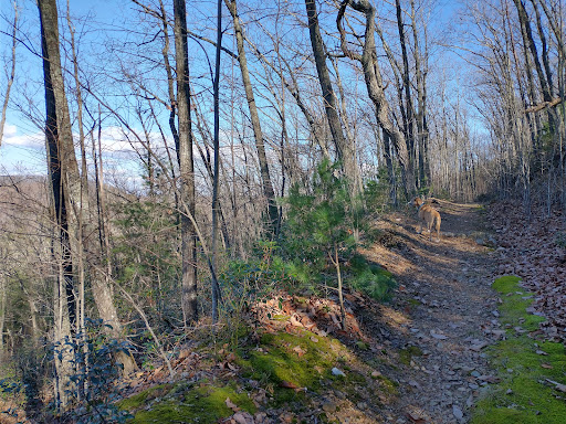 Draper Mountain Trail System