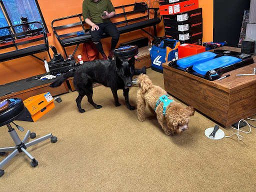 Olympic Bootworks South Lake Tahoe - Thumbnail